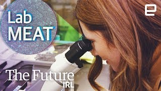 Your future food could be lab-grown meat | The Future IRL