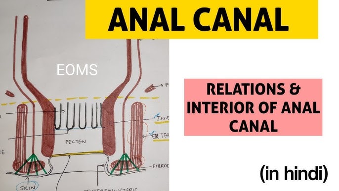 Semiz rus ayollar porno rasmlar