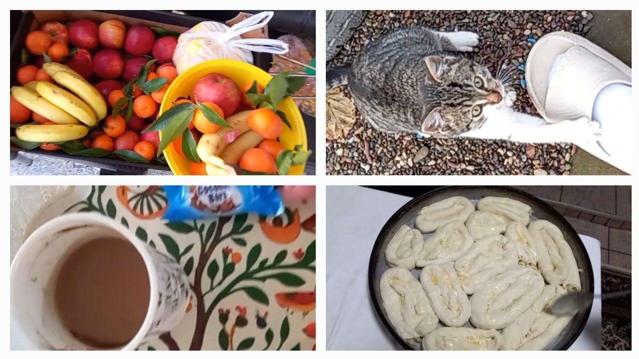 Kupusnjača 🤌kakva poruka na kraju😔 videobr10.❤️ 