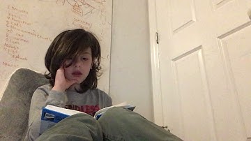 The Hardy Boys Book 1 The Tower Treasure