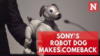 Sony’s New Aibo Robot Dog Is The Cutest In A.I. Technology