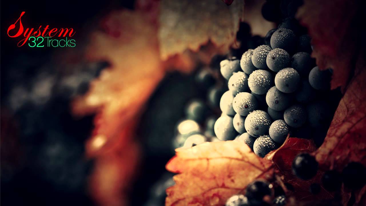 SizzleBird & CoMа   Where Do We Go