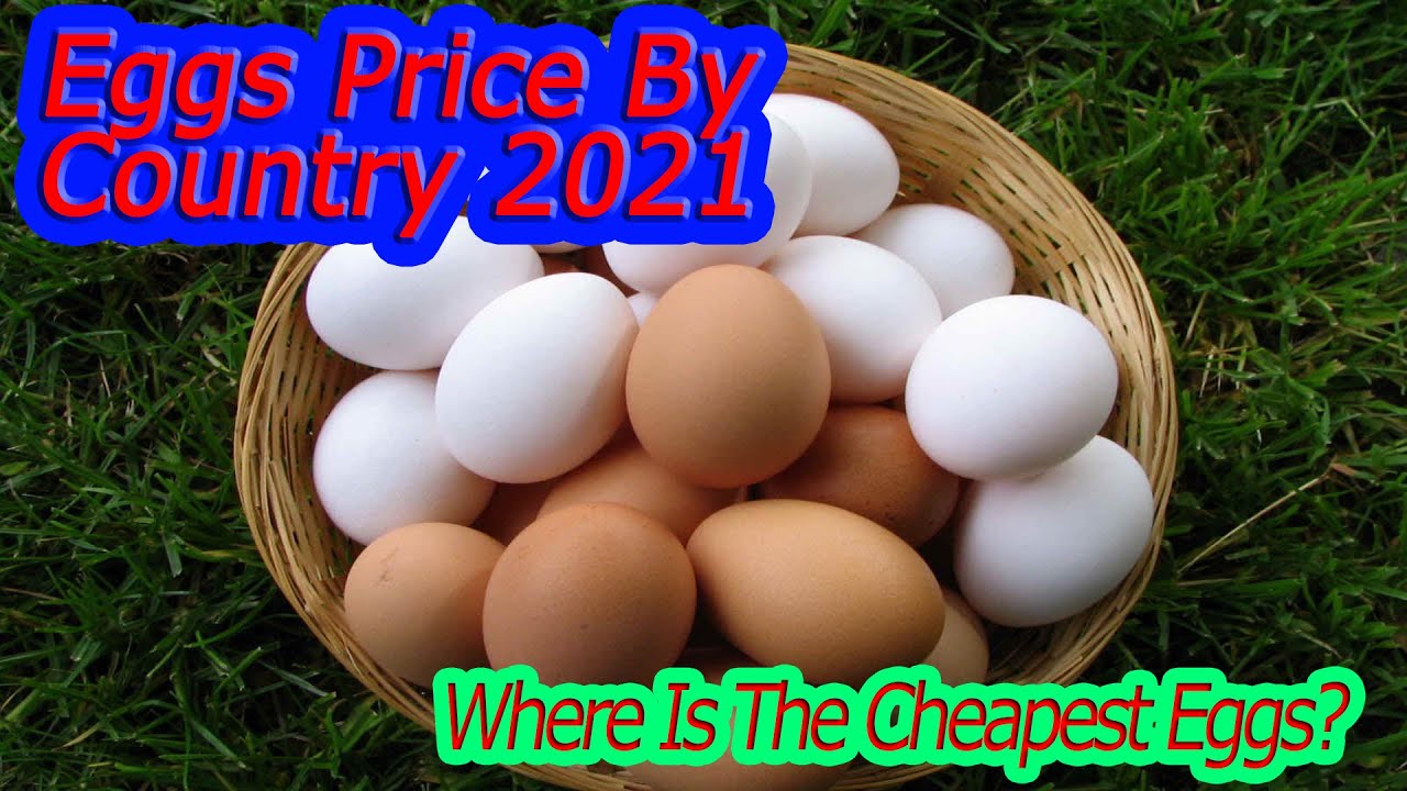 Eggs Price By Country 2021 Where Is The Cheapest Eggs? Comparison