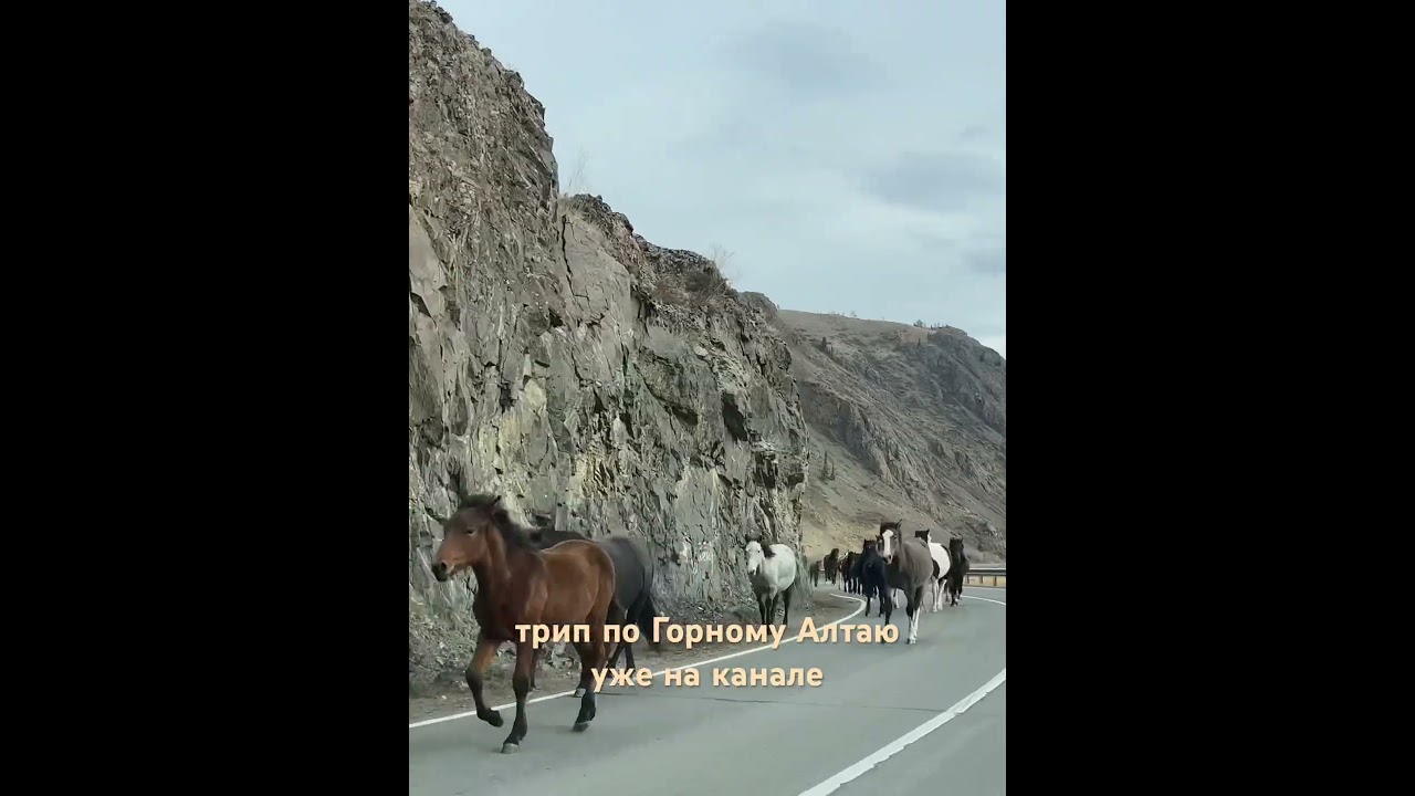 Горный Алтай за один день, Чуйский тракт 