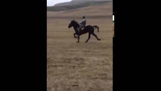 TRIM 20150218 222216
