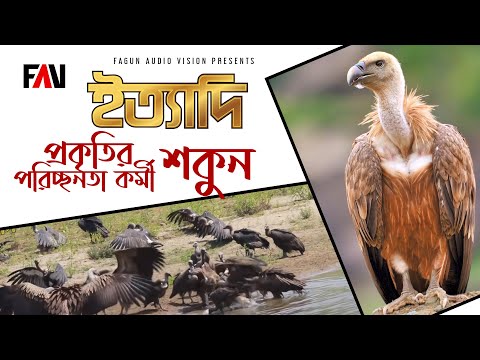 ভিডিও: শোগুন সময়কাল কি ছিল?