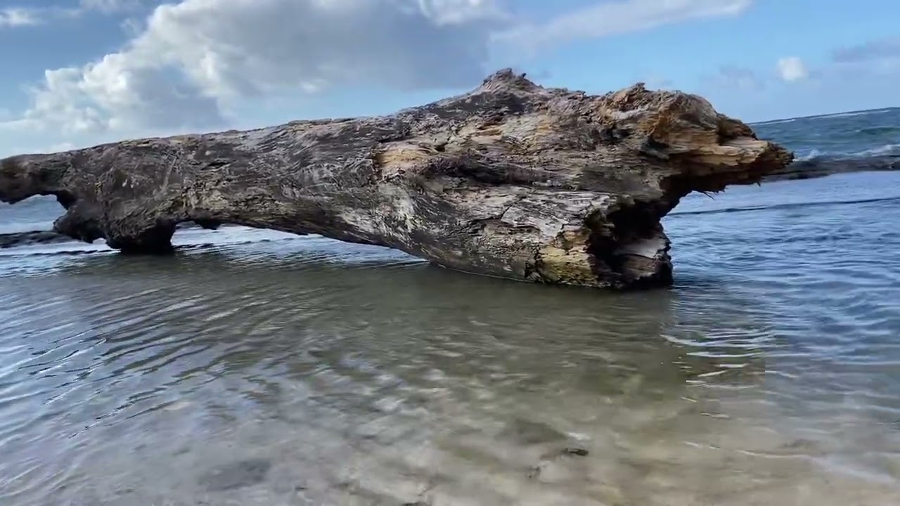 Kauai 22 water Hanalei bay