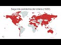 Vibrio cholerae y pandemias de cólera