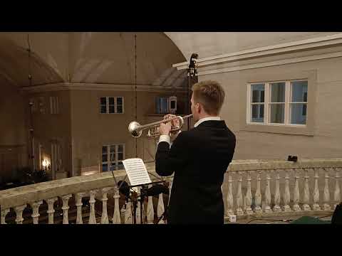Schubert – Ave