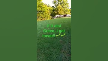 The result of early scalping. #Bermudagrass #Scalping