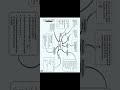 physics formula class 12 #physics