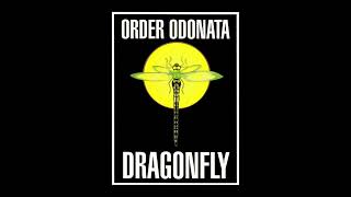 Order Odonata [Full compilation] Dragonfly Records (1994) [Goa Trance]