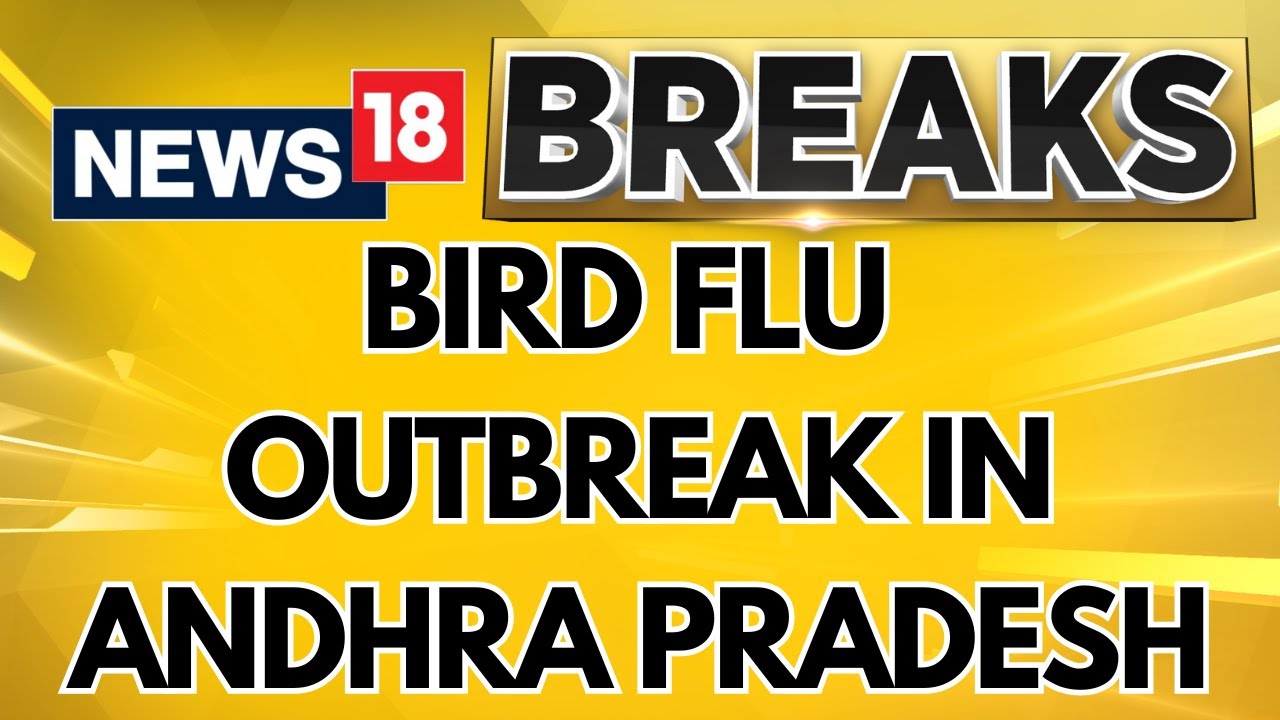 Bird Flu Deaths Confirmed In East And West Godavari Districts, Andhra Pradesh | Andhra Pradesh News