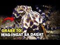 Mag-ingat Sa Mga Ito Kapag Nasa Dagat | EVADPUP