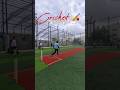 Who else waits for weekends ? #turfcricket #boxcricket #turf #cricket