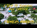 What to do on sanibel and captiva the farmers markets  the sanibel captiva guide
