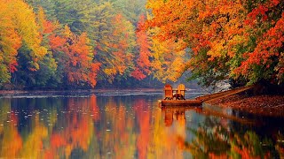 Fall - full of beauty. Enjoy and relax. Beautiful and colorful.