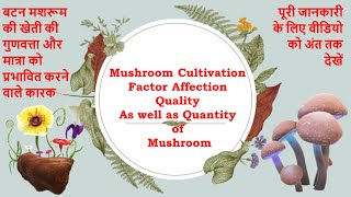Mushroom Cultivation: Factor affecting quality as well as quantity of Mushroom screenshot 5