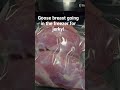 #foodsaver #waterfowl #goose #jerky #hunting #foryou #youtubeshorts