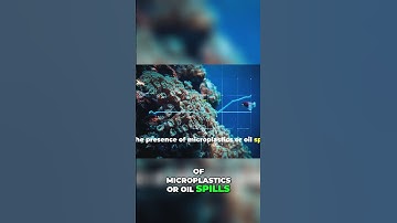 Astounding AI Innovations for Ocean Health Monitoring