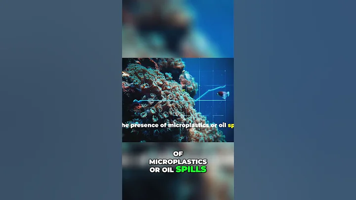 Astounding AI Innovations for Ocean Health Monitoring