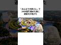 ドブに消えた幻の巨大都市計画【ゲートウェイ成田】