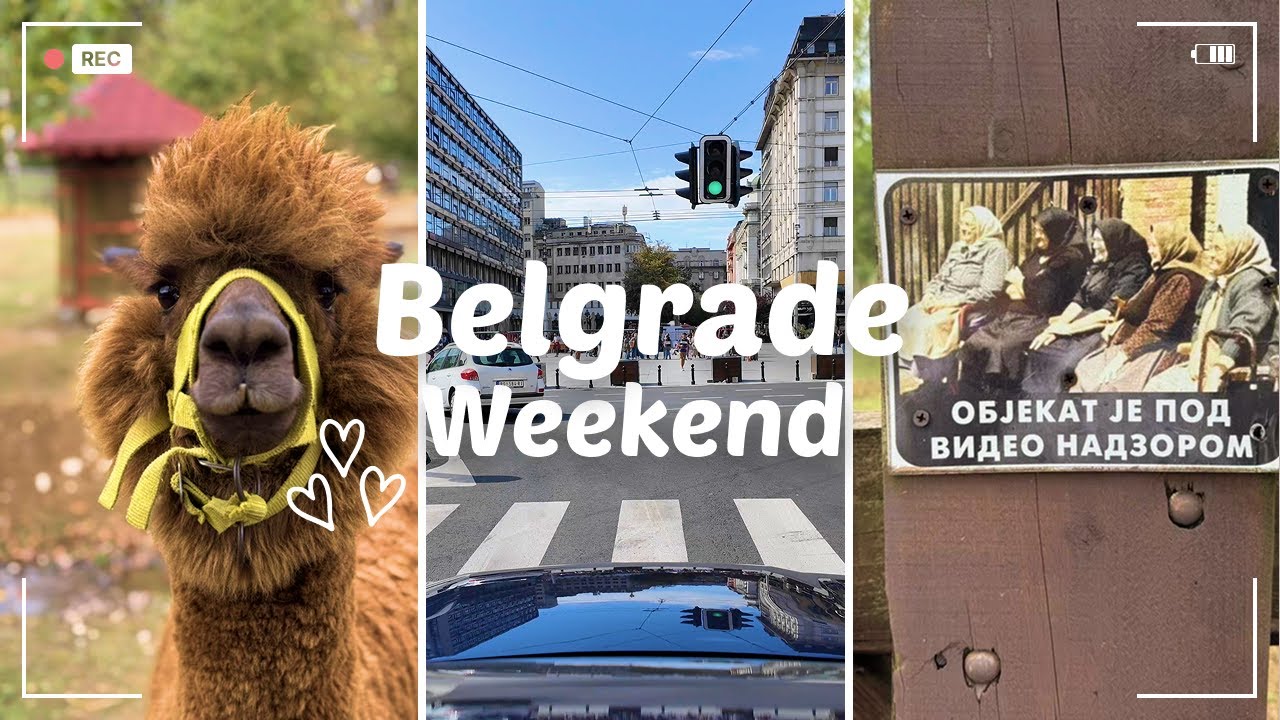 A Weekend in Belgrade — From City Streets to Llama Fields
