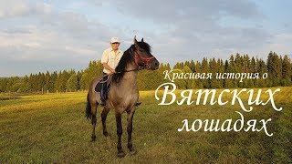 Вятские лошади. Красивая история одного героического Человека!