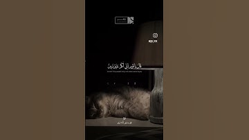 آيات من سورة نوح محمد صديق المنشاوي