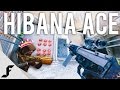 PRINCESS HIBANA ACE - Rainbow Six Siege