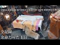 余命たった１日の柴犬コウタン最後の叫び/The last cry of a Shiba Inu with only one day left to live #rainbowbridge