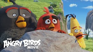 The Angry Birds Movie 2016 Movie || The Angry Birds Movie || The Angry Birds Movie Full Facts Review