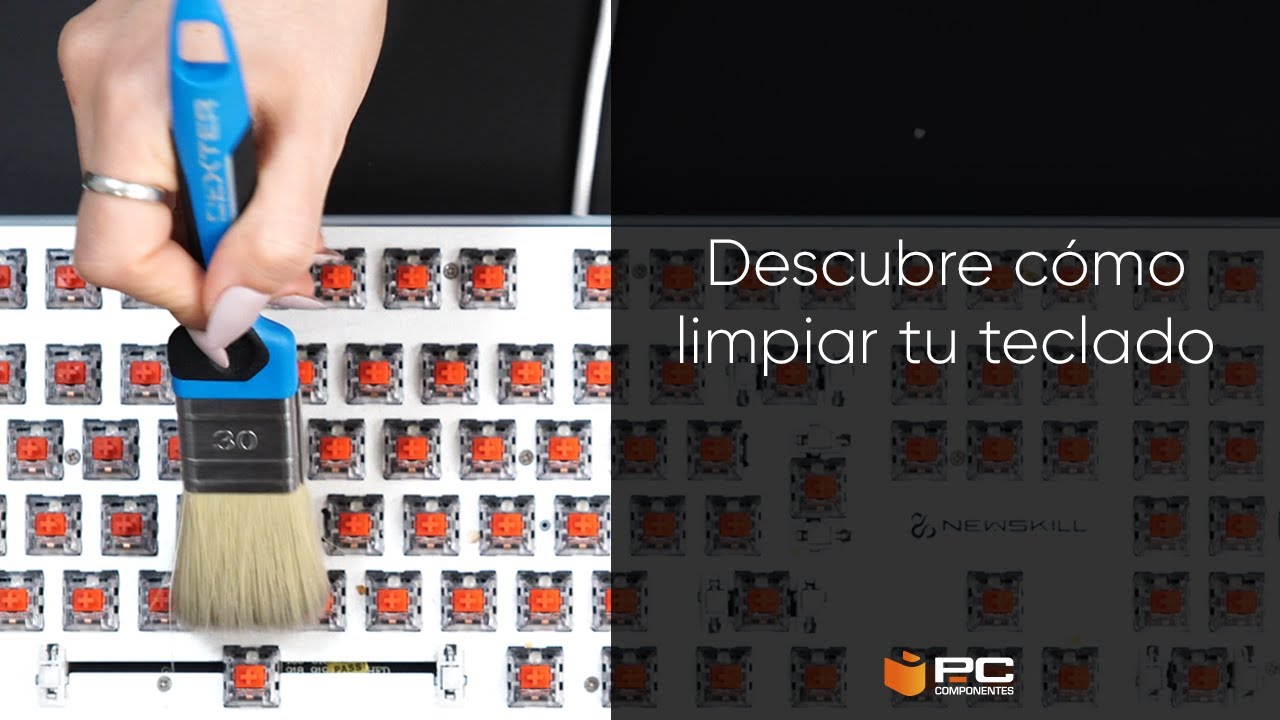 Cómo limpiar y desinfectar el teclado y el mouse de tu computadora - LA  NACION