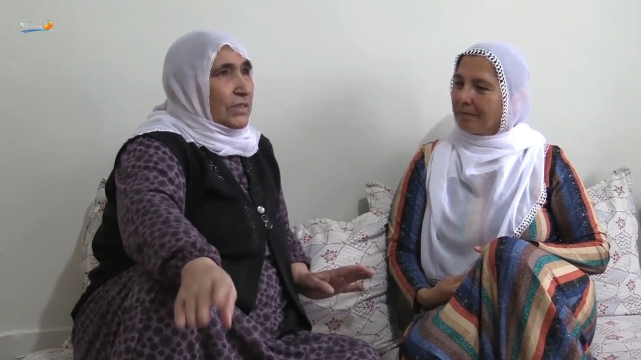 Jiyana Dayikan, Taxa Koçera, Batman, Stêrk TV