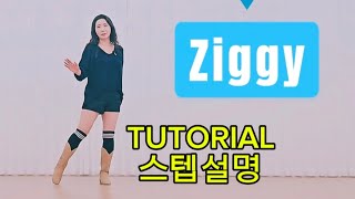 Ziggy Line Dancetutorialstep Instructionsbeginner Line Dance