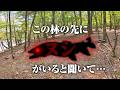 最大1mを超えるという、憧れの“湖のヌシ”を釣りに旅に出てきました。