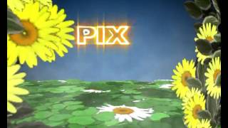 pixel vision new
