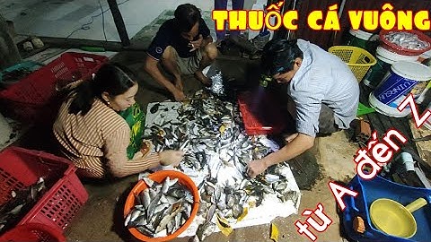 Review cận cảnh từ A đến Z thuốc cá vuông tôm Năm Căn Cà Mau