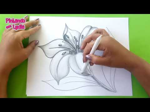 Video: Cómo Dibujar Flores Con Un Lápiz