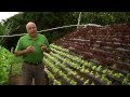 Cómo cultivar Lechuga Hidropónica Parte 1 - Tv agro By Juan Gonzalo Angel