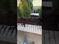 #landscape #lawncare #gardening