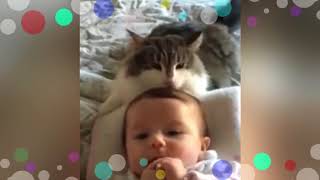 Коты и дети, лучшие друзья! Cats and babies the best video! Коты и дети, лучшие друзья! Cats and babies the best video!