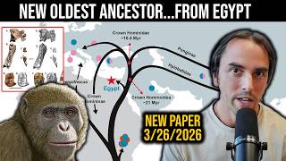 18 million year old Common Ancestor is from Egypt, not East Africa