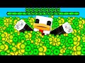 MINECRAFT MA IL MONDO È FATTO DA XP