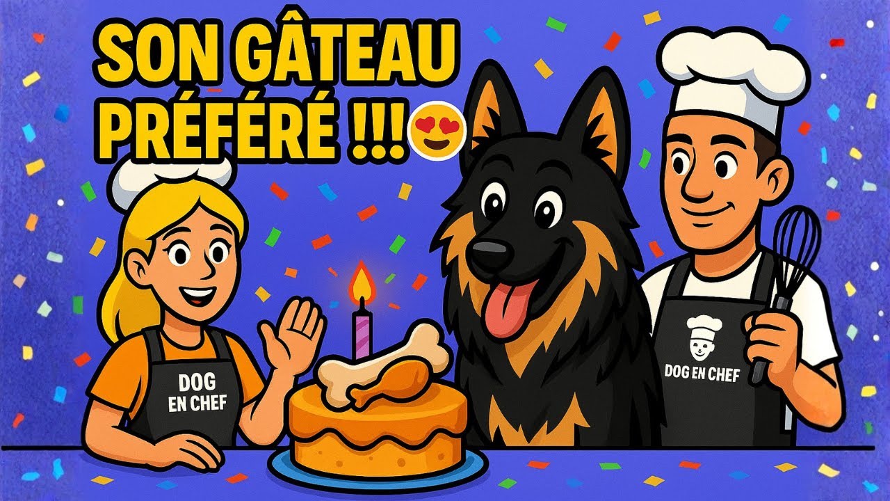 recette-de-g-teau-pour-chien-au-poulet-invit-berger-allemand-samoy-de