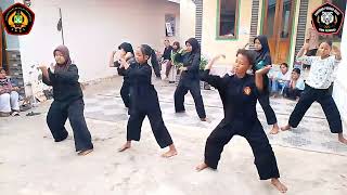 IBINGAN PENCAK SILAT PALEREDAN