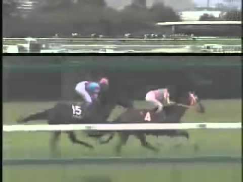 シンボリクリスエス 神戸新聞杯 2002