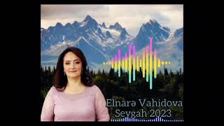 Elnare Vahidova– Salam Mənim Cavanlığımın Oğrusu