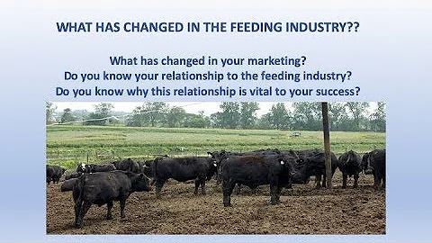 Producing Feeder Cattle for the Feedlot: What had ...