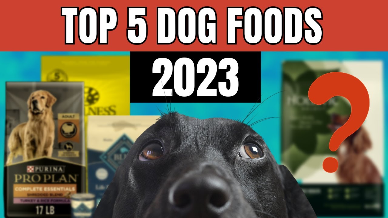 Top 5 Kibble Brands Dog Food Review (2023) YouTube